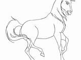 Coloring Horse Spirit Herd Para Colorear Dibujos Indomable El Corcel Getcolorings Caballos sketch template