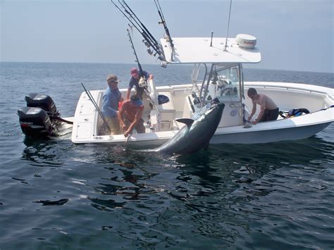 Bluefin Tuna Fishing Boats Tuna Fishing Kayak Fishing Fishing Tips Fishing Boats Fishing