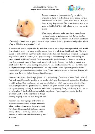 Hamster can reach 2 to 13 inches in length, depending on the species. Hamsters 3 English Worksheet For Key Stage 1