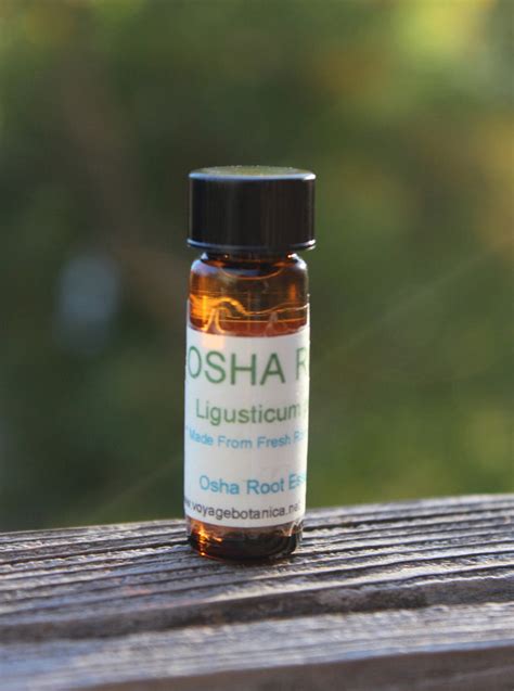 Osha Root Essential Oil Get In On The Next Batch Coming Soon Voyage Botanica