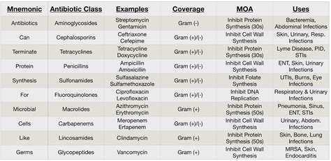 Antibiotics Classification According To Spectrum