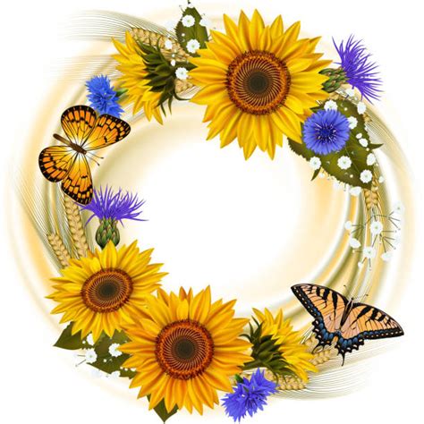 Square Sunflower Frame With Butterfly Illustrations Royalty Free