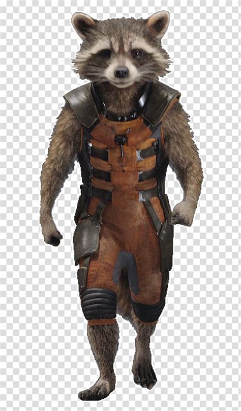 Guardians Rocket Raccoon Transparent Background Png Clipart Hiclipart