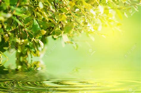73 Background Nature Water For Free Myweb