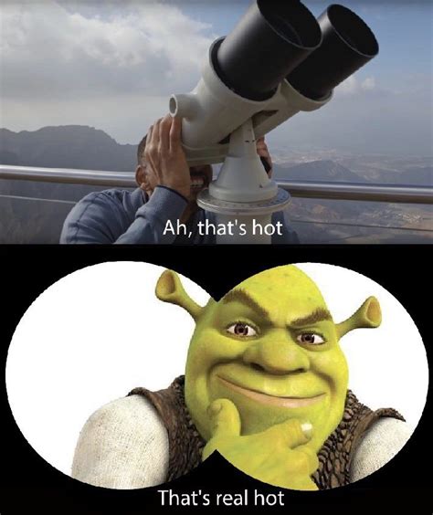 Dank N Fresh Shrek Shtposts 14 Stupid Memes Memebase Funny