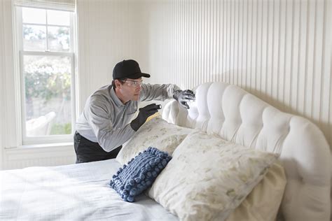 Control Bed Bugs Bc Bed Bug Expert