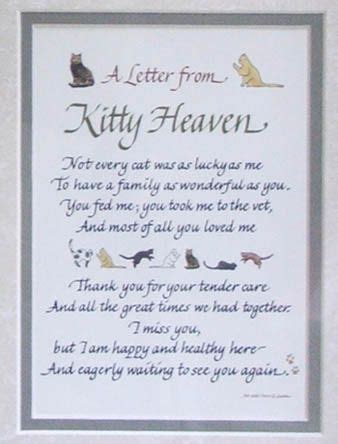 I watched my brother slip from it, so i call it the bridge of loss.read the. Cat Loss Poems | Letter from Kitty Heaven Pet Memorial ...
