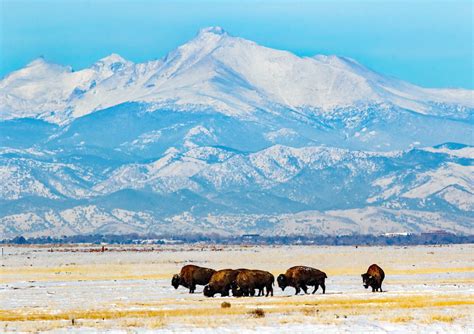 A5e3a9208 Rocky Mountain Arsenal National Wildlife Refuge Flickr