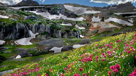 Download Wallpaper 1920x1080 Flowers Mountains Snow Relief Light