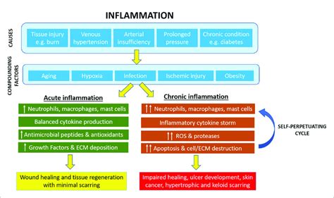 Cutaneous Inflammation And Its Role In Pathophysiology Of Chronic