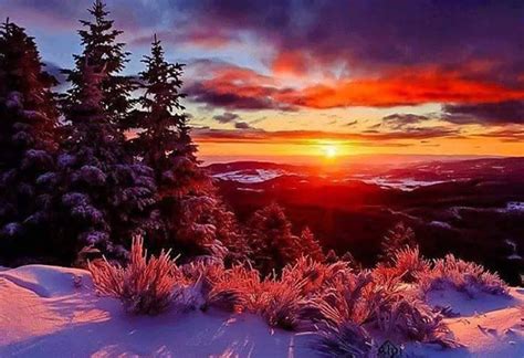 Free Images Winter Tree Snow Sunset Nature Natural Landscape