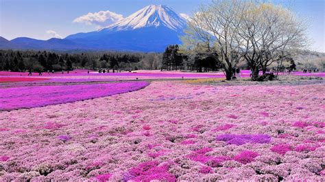 Japan Most Beautiful Places To Visit ~ Pict Art