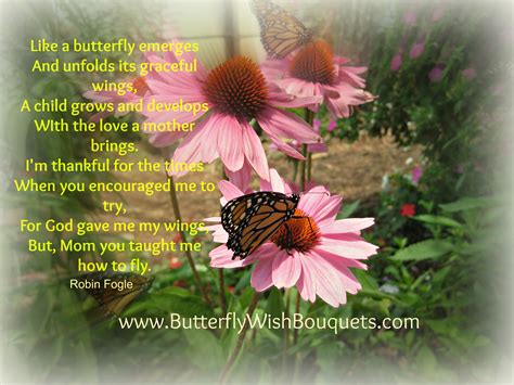 Butterfly Poems