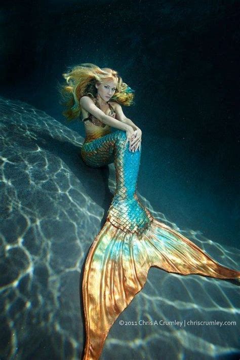 Mermaid With Gold Tail Mermaids Photo 39881356 Fanpop
