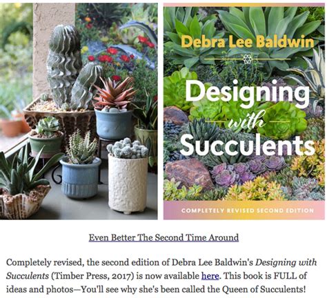 Debra Lee Baldwins Succulent Blog Garden Design Magazine Succulents