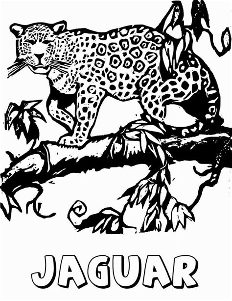 Coloriage Jaguar 9008 Animaux Dessin à Colorier Coloriages à