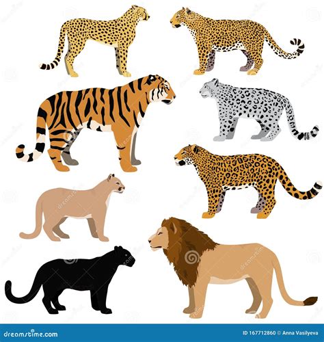 Premium Big Cat Tattoos Lion Cheetah Tiger Jaguar Black Panther
