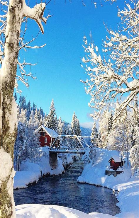 Pin Von Ivanka Kostova Auf Nature Winterwunderland Winter