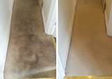 Images of Upholstery Cleaner Warrington