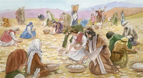 Estudio Biblia Exodo 161 14 Prueba En El Desierto De Sin