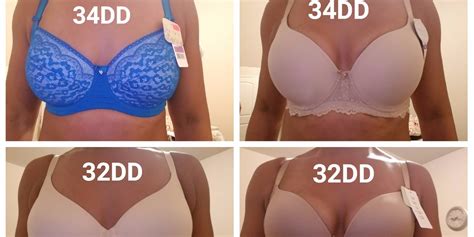 Breast Sizes With Examples Bra C Her Bra Size You Can See