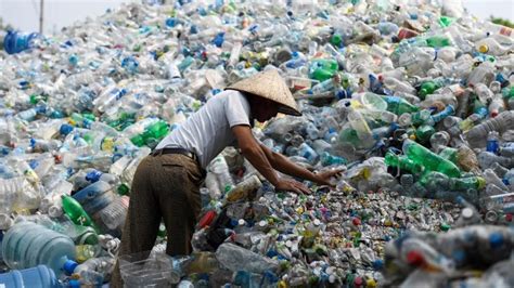 Malezya bir 2018 vardı orman manzara bütünlüğü endeksi bunun 111 sıralamasında, 5.01 / 10 ortalama puanı inci 172 ülke arasında global olarak. World Environment Day: "Beat Plastic Pollution" - Vatican News