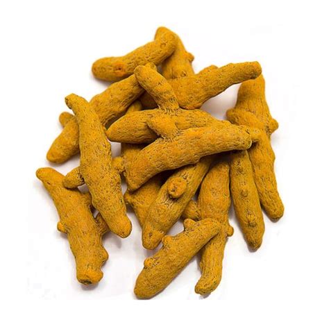 Polished Raw Common Turmeric Finger For Cooking Spices Grade