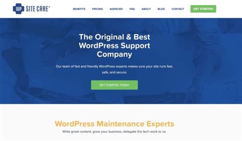 Wordpress Maintenance 101 Bonus 23 Wordpress Support Services You