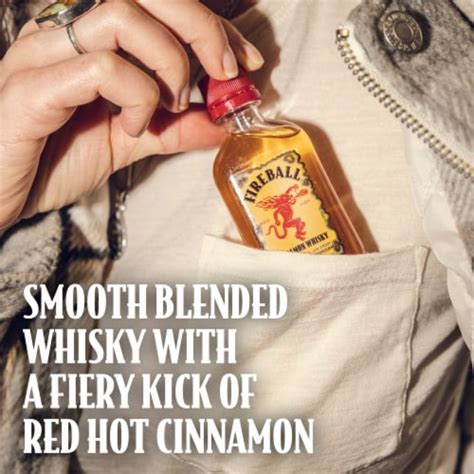 Fireball Hot Cinnamon Blended Whisky Adult Trick Or Treat Bag 15