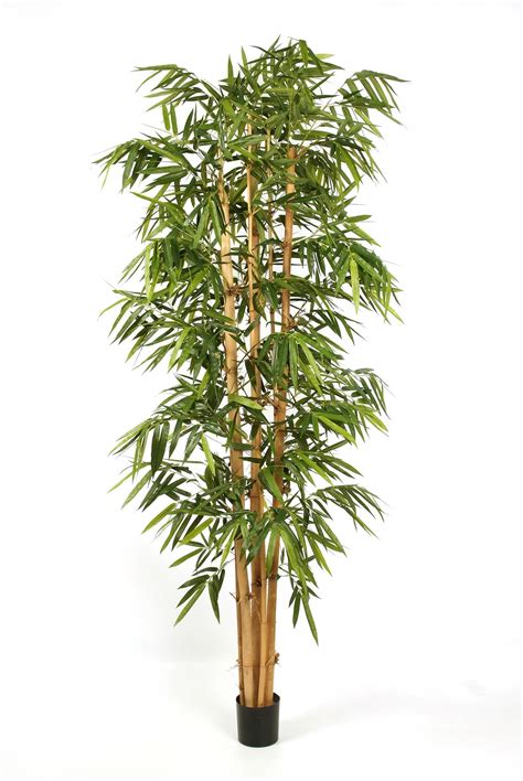 Artificial Giant Bamboo Kiyoshi 8 Ft240 Cm Decorative Bamboo Plant