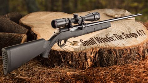Review Savage A17 Rimfire Rifle An Official Journal Of The Nra