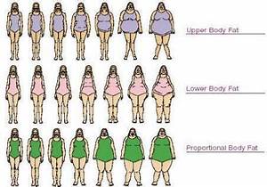 Body Types For Women Body Types Chart Type Chart Lower Body Fat