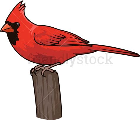 Northern Cardinal Cartoon Clipart Vector Friendlystock