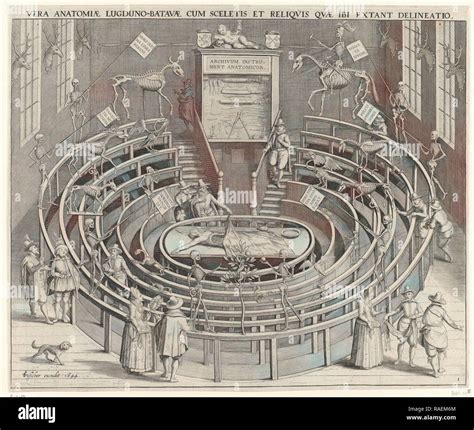 Anatomical Theater Of The University Of Leiden The Netherlands Willem