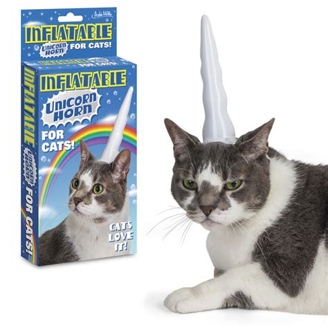 Unicorn Horn For Cats The Ultimate In Funky Feline Headwear Frost