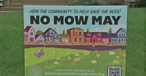 Whats The Purpose Of The No Mow May Movement Cbs Minnesota