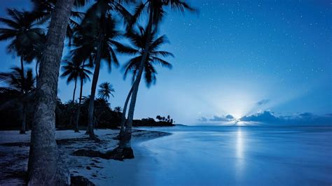 Download 1920x1080 Starry Night Sky Over The Beach Wallpaper Night