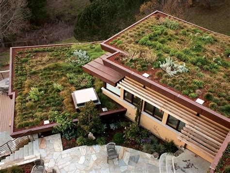 Green Roofs Garden Design