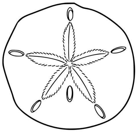 Sand Dollar 8 Coloring Page Free Printable Coloring Pages For Kids