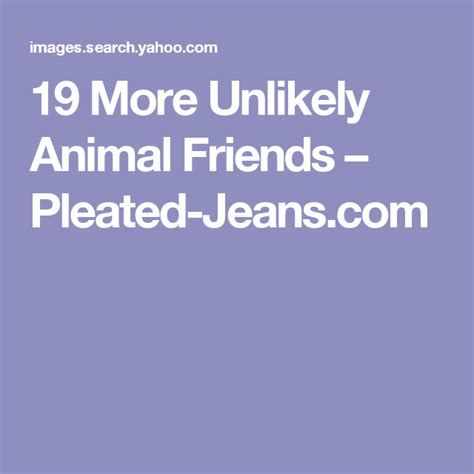19 More Unlikely Animal Friends Pleated Unlikely Animal