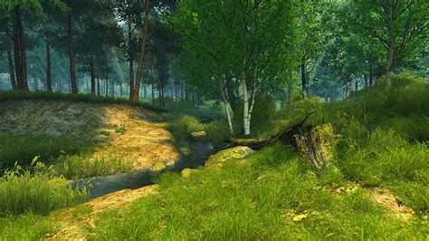 Summer Forest 3d Screensaver And Animated Wallpaper V10 Build 1h33tmad Dog Onguarouptpahgs Blog