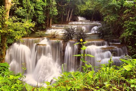 Forest Cascade Thailand Waterfall Beautiful Views Wallpapers