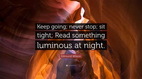 Edmund Wilson Quote Keep Going Never Stop Sit Tight Read Something