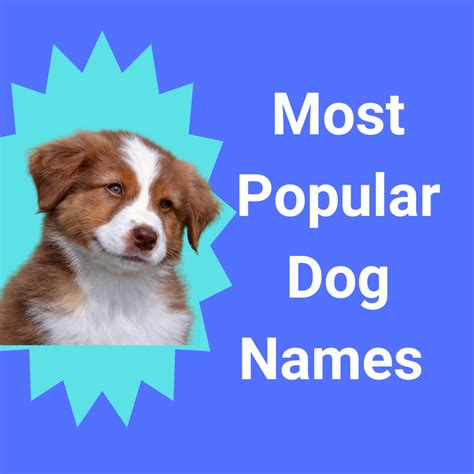 Most Popular Dog Names Of 2023 Ulimate Name Guide Farmer Petes