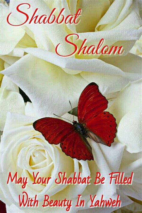 Shabbat Shalom More Butterfly Kisses Butterfly Flowers Beautiful