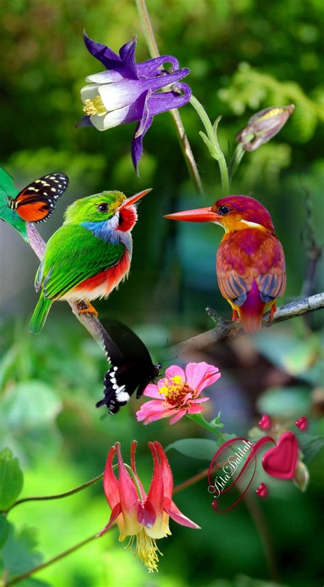 Birds And Flowers Relationship How To Do Thing