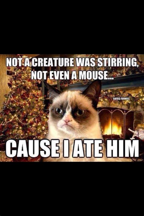 1yr · ajjam · r/memes_of_the_dank. Grumpy Cat. How could you! Now the poetic Christmas story is ruined! Good job. lol XD | Grumpy ...