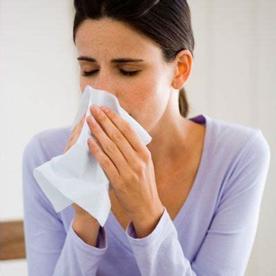 Top 6 Environmental Allergies | Everyday Health