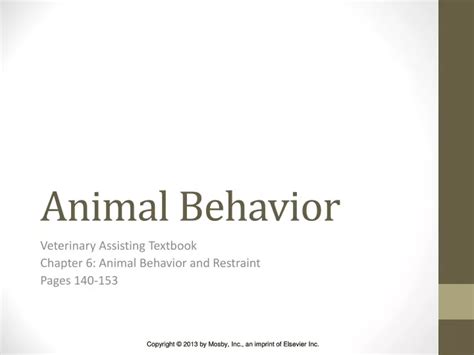 Ppt Animal Behavior Powerpoint Presentation Free Download Id9494273