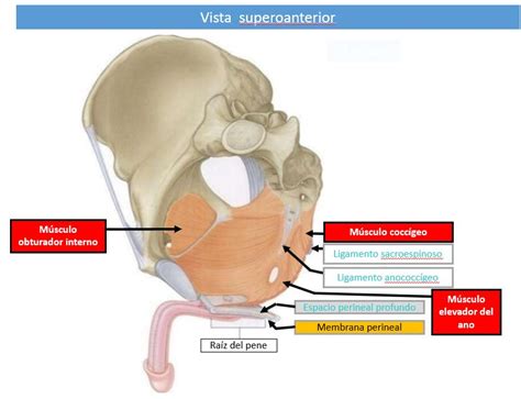 Simple Science: How to Make a Volcano with Kids